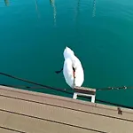 펜션 Floating House - Sunset *