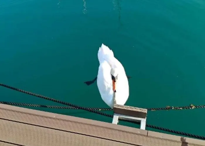 Feriehus Floating House - Sunset *